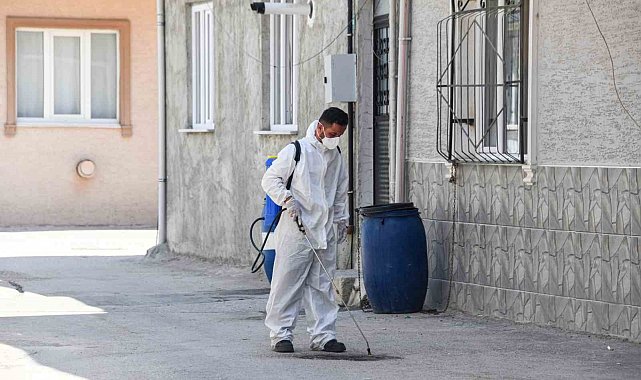 Osmangazi Belediyesi'nden haşereye karşı anında müdahale