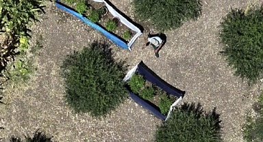 Osmaniye'de 31 kilo esrar ve 527 kök kenevir ele geçirildi