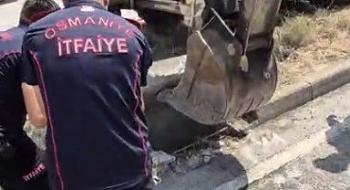 Osmaniye'de mazgala düşen yavru kedi itfaiye ekiplerince kurtarıldı