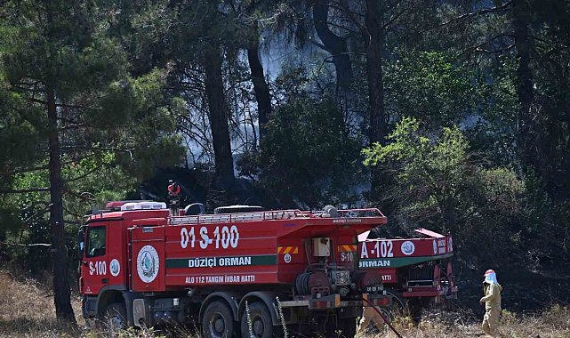 Osmaniye'de orman yangını kontrol altına alındı, soğutma çalışmaları sürüyor