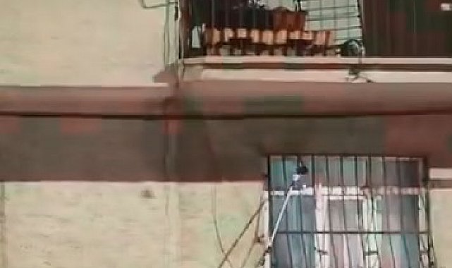 Pencere korkuluğundaki yılan ekiplerce yakalandı