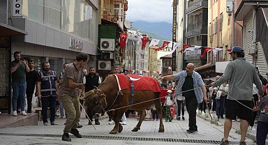 "Kafkasör Festivali" boğalı kortej yürüyüşüyle başladı
