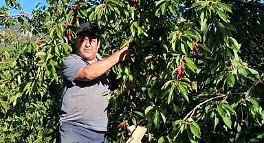 "Kirazda, 2024 yılında sattığımız fiyatları göremiyoruz"