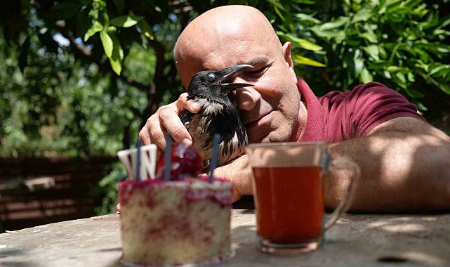 Rize çayı içen gurme kargaya özel doğum günü partisi