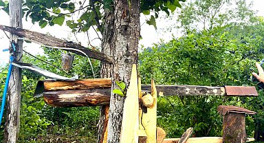 Rizelinin atadan kalma ayı savarı: 'Carimangana'