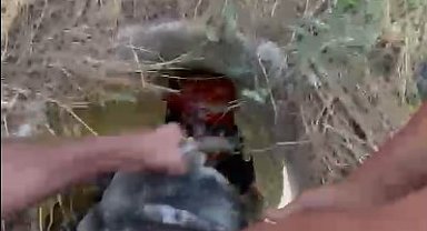Rögara düşen keçiyi itfaiye kurtardı