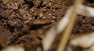 Rusya'nın Ukrayna saldırılarında can kaybı 29'a yükseldi
