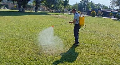 Sakarya Nehri kıyısında haşereye karşı yoğun mesai