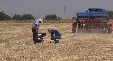 Şanlıurfa'da 'anız yakmadan üretim' modeli yaygınlaşıyor: Toprak korunuyor çiftçi kazanıyor