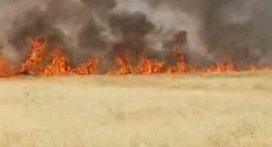 Şanlıurfa'da 45 dönüm buğday ekili alan yandı