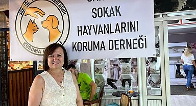Sarıgöl'de sahipsiz hayvanlara umut oluyorlar