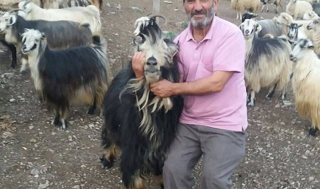 Şavşat Deresi'nde kaybolan babanın cansız bedenine ulaşıldı
