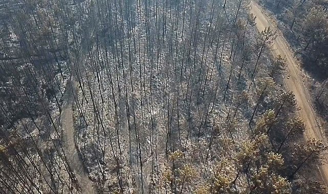 Seydikemer'de alevlerin küle çevirdiği alanlar havadan görüntülendi