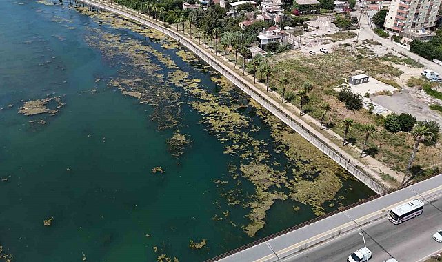 Seyhan Nehri kirliliğe teslim oldu, gönüllü genç sandalla temizliğe çıktı