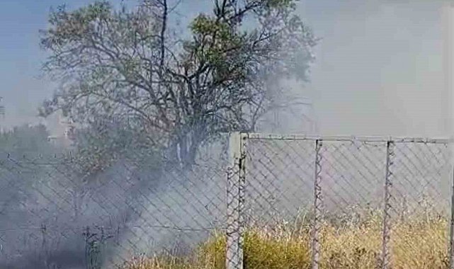 Siirt'te evin bahçesinde çıkan yangında meyve ağaçları kül oldu