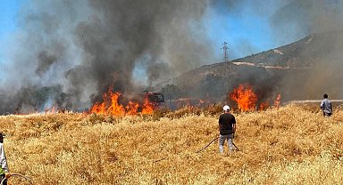 Simav'da buğday tarlasındaki yangında 50 dekar alan zarar gördü