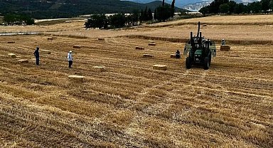 Sinop'ta yılın ilk buğdayları hasat edildi