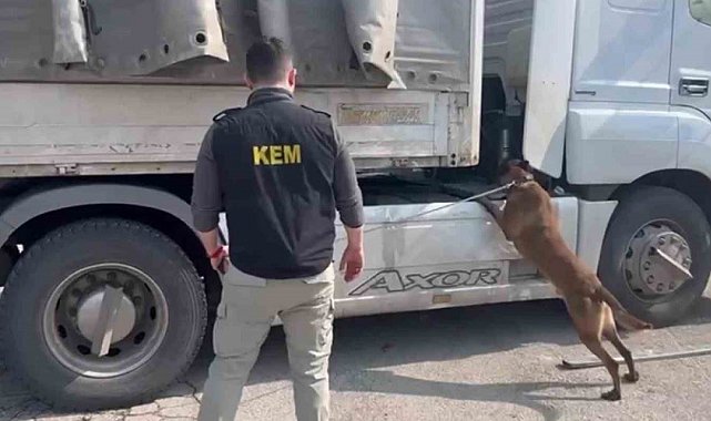Şırnak'ta zehir tacirlerine ağır darbe: 90 kilo uyuşturucu ele geçirildi
