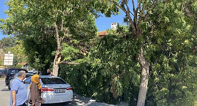 Sivas Valiliği uyarmıştı, rüzgar hasara yol açtı