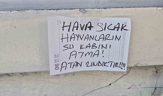 Sokak hayvanlarının su kabını atanlara ilginç tepki: "Atan zındıktır"