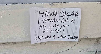 Sokak hayvanlarının su kabını atanlara ilginç tepki: "Atan zındıktır"