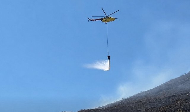 Söke'de otluk alan yangını