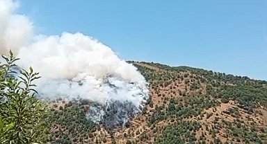 Sultanhisar'da makilik ve orman yangını