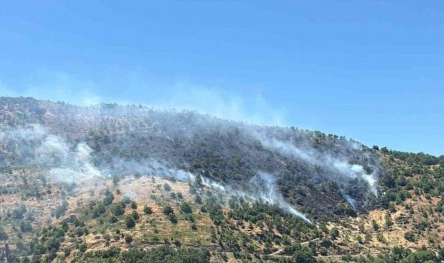 Sultanhisar'daki yangına havadan ve karadan müdahale sürüyor
