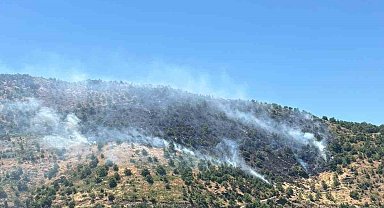 Sultanhisar'daki yangına havadan ve karadan müdahale sürüyor