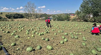 Süper hücre Tekirdağ'ı vurdu: 4 köy zarar gördü