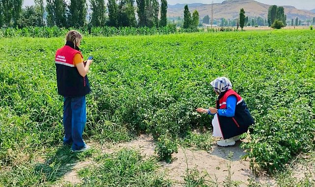 Tarım arazilerinin korunması çalışmaları sürüyor