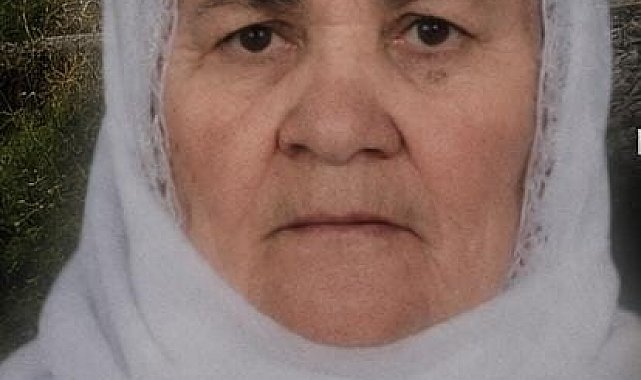 Tatvan'da trenin çarptığı yaşlı kadın hayatını kaybetti