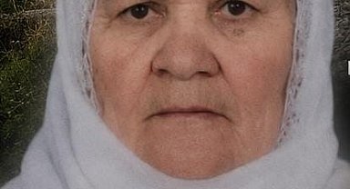 Tatvan'da trenin çarptığı yaşlı kadın hayatını kaybetti