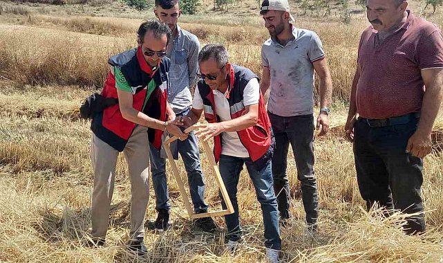 Tavşanlı'da biçerdöver kontrolleri sürüyor