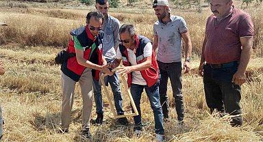 Tavşanlı'da biçerdöver kontrolleri sürüyor