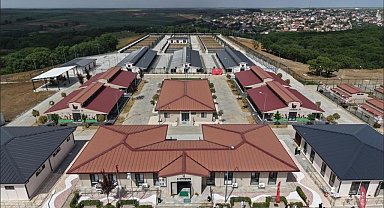 Tekirdağ'da 5 binden fazla sahipsiz hayvana umut oldular