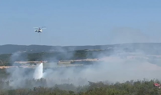 Tekirdağ'da anız yangını ormana sıçradı: Havadan ve karadan müdahaleyle kontrol altına alındı