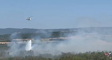 Tekirdağ'da anız yangını ormana sıçradı: Havadan ve karadan müdahaleyle kontrol altına alındı