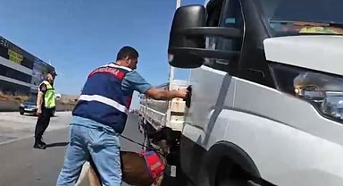 Tekirdağ'da dar sokaklarda huzur uygulaması: Bin 338 kişi sorgulandı