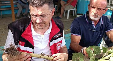 Tekirdağ'da dolunun vurduğu köylerde hasar tespit çalışmaları sürüyor