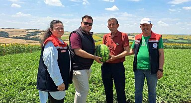 Tekirdağ'da ilk karpuz hasadı başladı