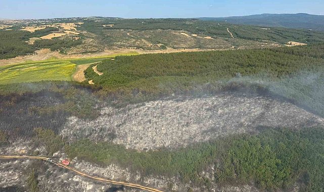 Tekirdağ'da orman yangını: Ekipler havadan ve karadan seferber oldu