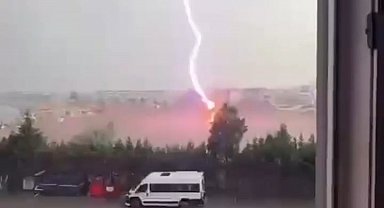 Tekirdağ'da palmiye ağacına yıldırım düştü, alev alev yandı