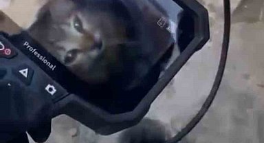 Teras gider borusunda 5 metre derine düşen kediyi itfaiye kurtardı