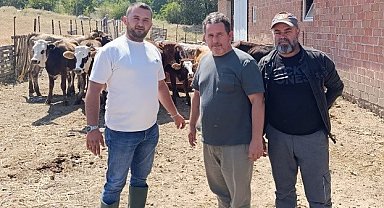 Tunçbilek'te daha sağlıklı hayvancılık için ilaçlama yapıldı