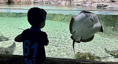 Tünel Akvaryum turistlerin gözdesi oldu