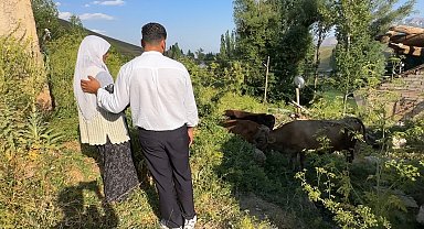 Uçurumdan düşen ineği için gözyaşı döken Ayni teyzeye yardım eli uzatıldı
