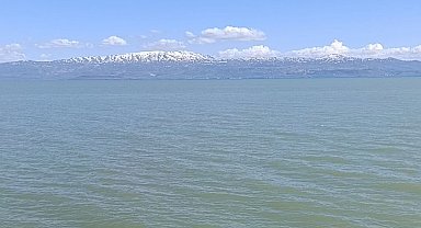 Van Gölü'nde yüzmek yasaklandı