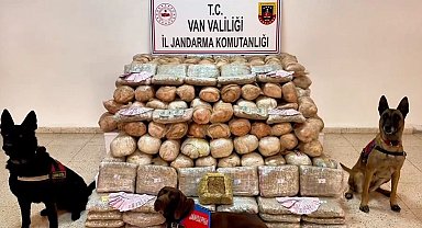 Van'da 333 kilo skunk ele geçirildi