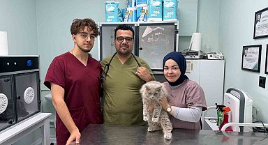 Veterinerde deprem etkisi yapan kedi Türkiye'nin gündeminde